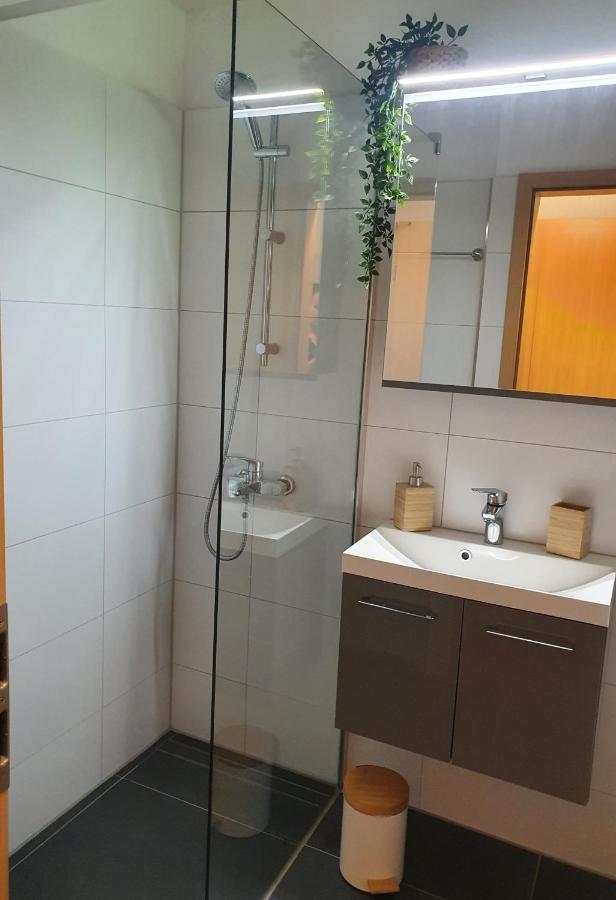 Modernisierte Ferienwohnung Naturseelen Mit Schwimmbad Und Sauna Braunlage Extérieur photo